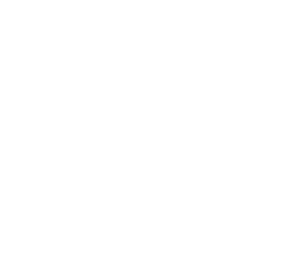 Reiki Membership Association - Professional Member