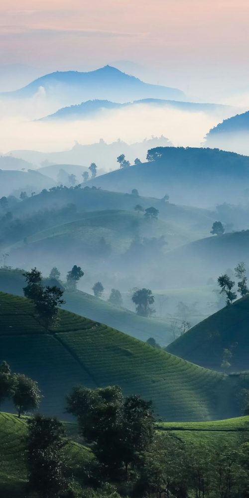 About everyday reiki bg2