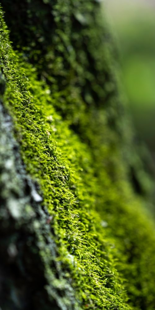 About nan zhou 1k6ndux6gy4 unsplash.jpg